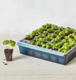 Burpee SuperSeed Seed Starting Tray | 36 Cell Reusable Seed Starter Tray | for Starting Vegetable, Flower & Herb Seeds | Indoor Grow Kit for Plant Seedlings | for Germination Success - Image 6