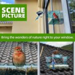 Window Bird Feeder with Non-Marking Self-Adhesive Hooks, Blue Window Bird House, Bird Watching Gift, Garden Decor - Image 5