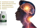 Mind Body Focus | Natural Nootropic Brain Supplement for Focus, Memory and Mood Support - Mental Clarity, Concentration and Cognitive Performance with Mucuna, Bacopa, Rhodiola, Phosphatidylcholine - Image 4