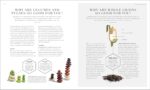 The Science of Nutrition: Debunk the Diet Myths and Learn How to Eat Responsibly for Health and Happiness (DK Science of) - Image 3