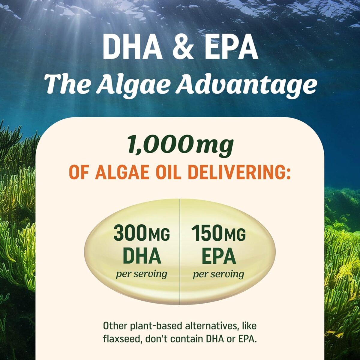 Vegan Omega 3 Algae Oil | Plant Based DHA EPA | Sustainably Sourced, No Carrageenan, Non GMO | Heart, Brain, and Eye Health | Fish Oil Alternative | Algae Omega 3 Supplement | 60 Softgel Capsules - Image 4