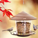 Hanging Bird Feeder Squirrel Proof for Outdoor Wild Bird Seed, Brown - Image 4
