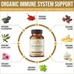 Warrior - Organic Immune System Support - Made with Nature's 8 Most Potent Immunity Defense Herbs - Image 2