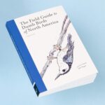 The Field Guide to Dumb Birds of North America (Bird Books, Books for Bird Lovers, Humor Books) - Image 5