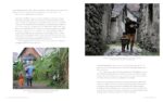 National Geographic Bucket List Family Travel: Share the World With Your Kids on 50 Adventures of a Lifetime - Image 6