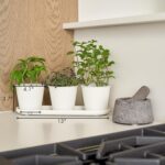 KIBAGA Beautiful Herb Garden Planter Indoor Set of 3 - Perfect for Any Kitchen Window Sill or Countertop - A Modern Decor Gardening Planter Kit Incl. Tray & Drainage Holes to Grow Fresh Herbs at Home - Image 7