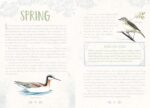 The Mindful Birder's Journal: Record Your Observations of the Winged World - Image 4