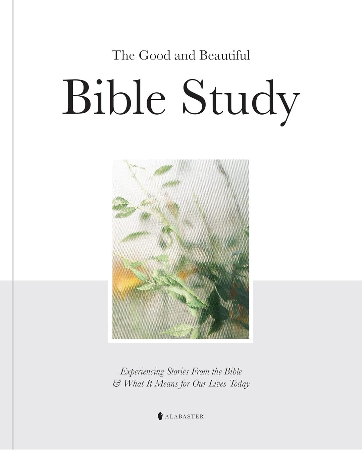 The Good and Beautiful Bible Study: Experiencing Stories From the Bible and What It Means for Our Lives Today - Image 1