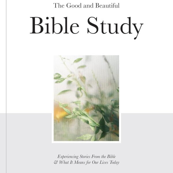 The Good and Beautiful Bible Study: Experiencing Stories From the Bible and What It Means for Our Lives Today