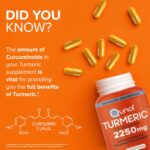 Qunol Turmeric Curcumin with Black Pepper, 2250mg Turmeric Extract with 95% Curcuminoids, Extra Strength Turmeric Supplement, Enhanced Absorption, Joint Support Supplement, 150 Vegetarian Capsules - Image 7