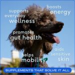 Native Pet Dog Vitamins & Supplements - 60 Scoops - 11-in-1 Multivitamin for Dogs with 21 Supplements & Vitamins – Nutritious Food Topper Powder - Pet Health & Puppy Essentials - 60 Scoops - Image 7