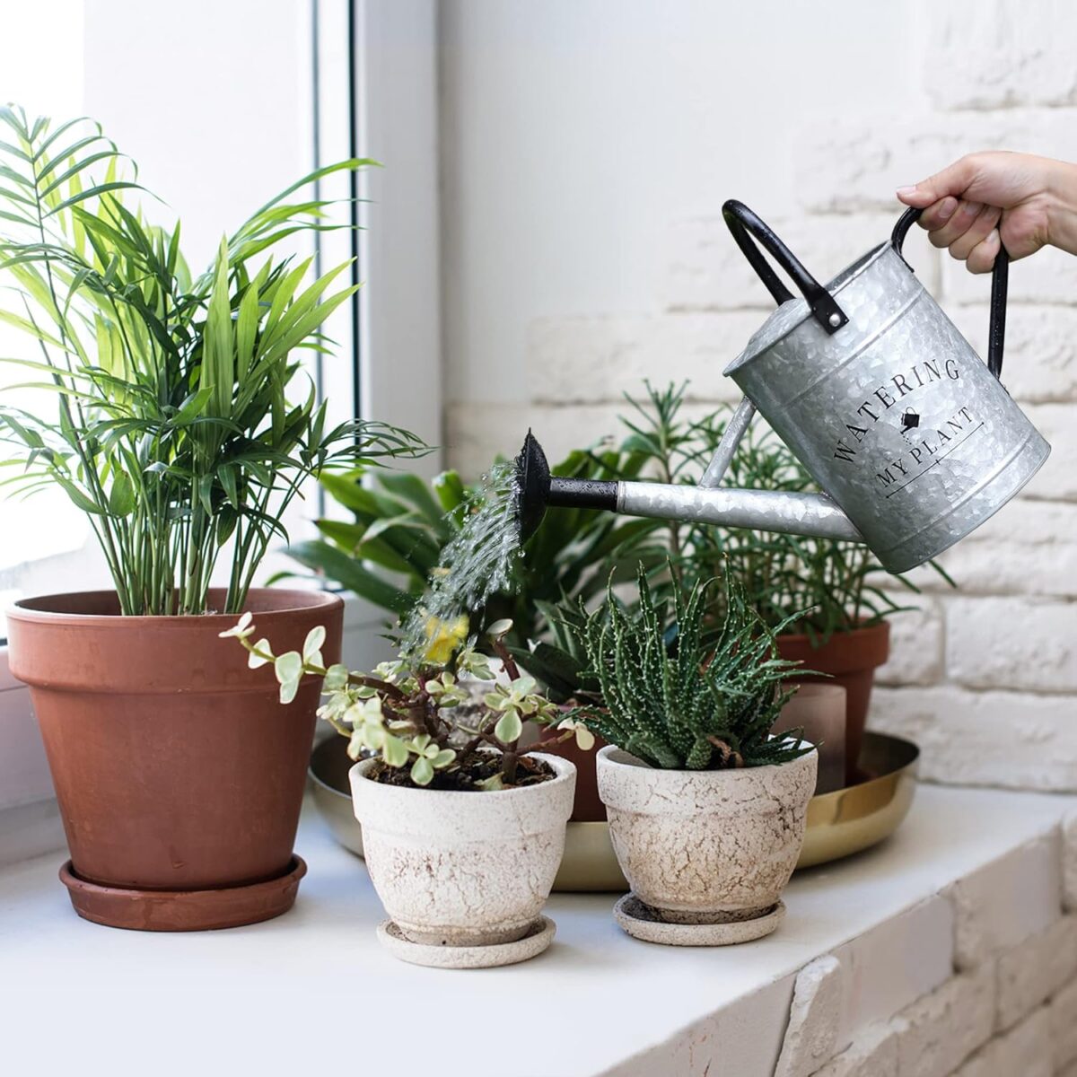 Galvanized Watering Can for Outdoor Indoor Plants, 1 Gallon Decorative Countryside Style Water Can with Removable Spout, Perfect Metal Watering Can for Indoor Plants and Garden Flower - Image 2