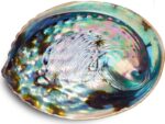 5.5 Inch Smudge Kit Shell & Stand | Abalone Shell + Wood Stand | Hand Made, Sustainably Grown, Smudging Kit Smudge Bowl & Stand - Image 3