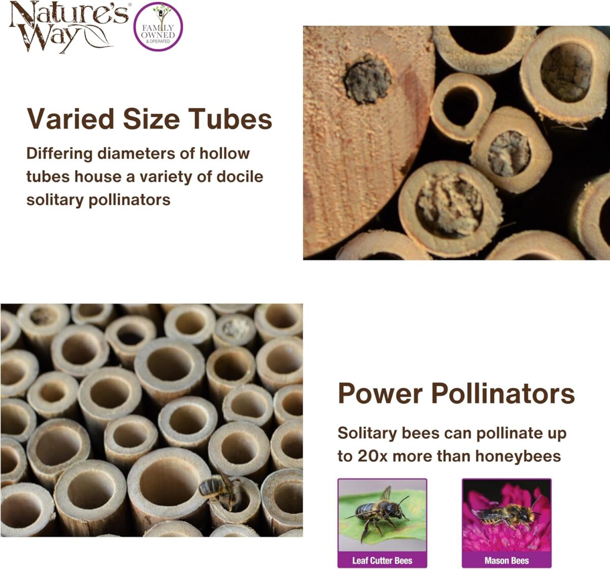 Nature's Way Bird Products PWH1-B Purple Bee House - Image 5