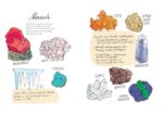 Nature Anatomy: The Curious Parts and Pieces of the Natural World - Image 2
