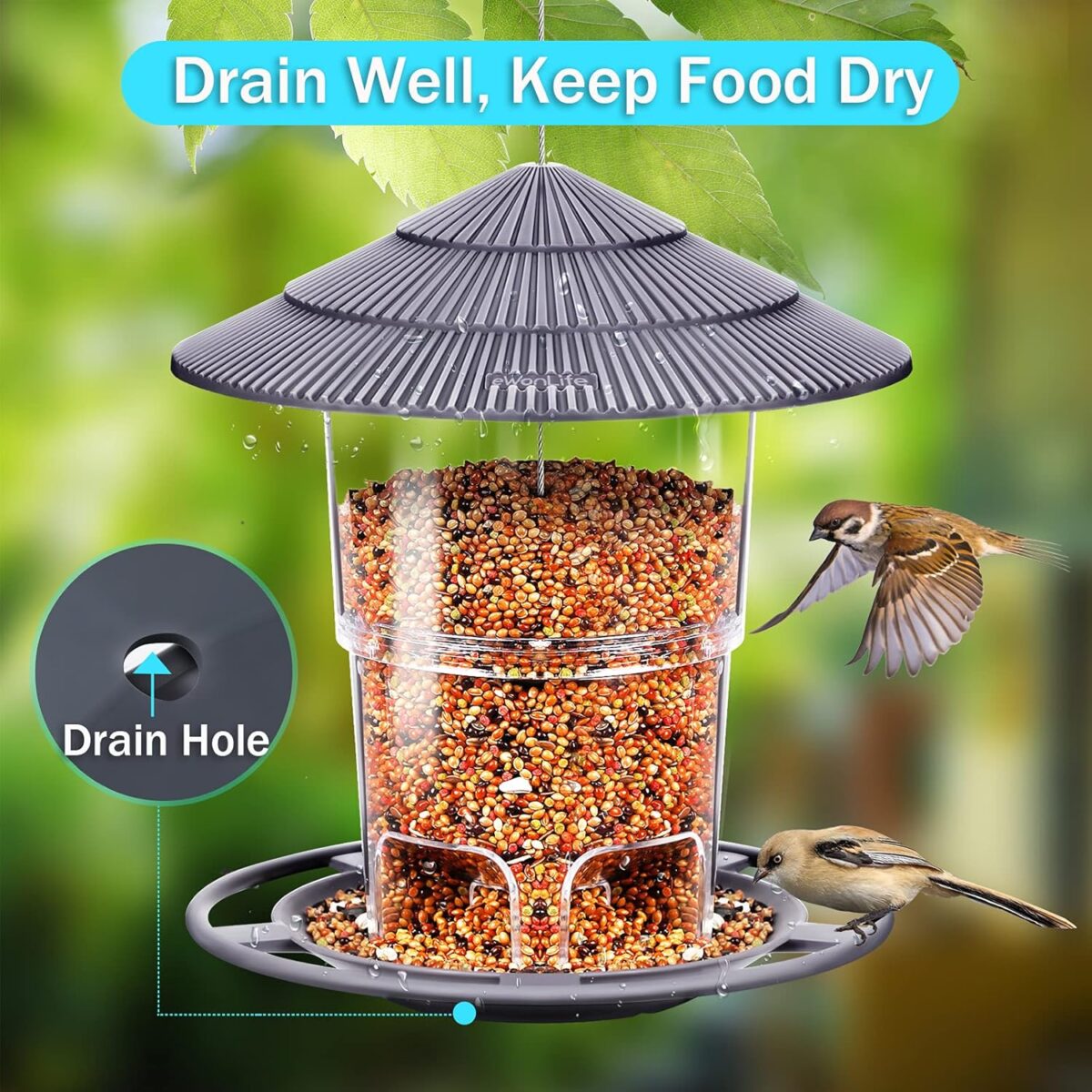 Bird Feeders for Outdoors, eWonLife Bird Feeder Outside Hanging, Squirrel Proof, Easy Clean and Fill, Adjustable Feeder with Sturdy Wire and Roof, Plastic, for Garden, Backyard, Terrace(25 OZ/Pack) - Image 4