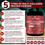 Wholesome Wellness Multi Collagen Protein Powder Hydrolyzed (Type I II III V X) Grass-Fed All-in-One Super Bone Broth + Peptides - Premium Blend of Beef, Chicken, Wild Fish, Eggshell, 58 Servings - Image 5