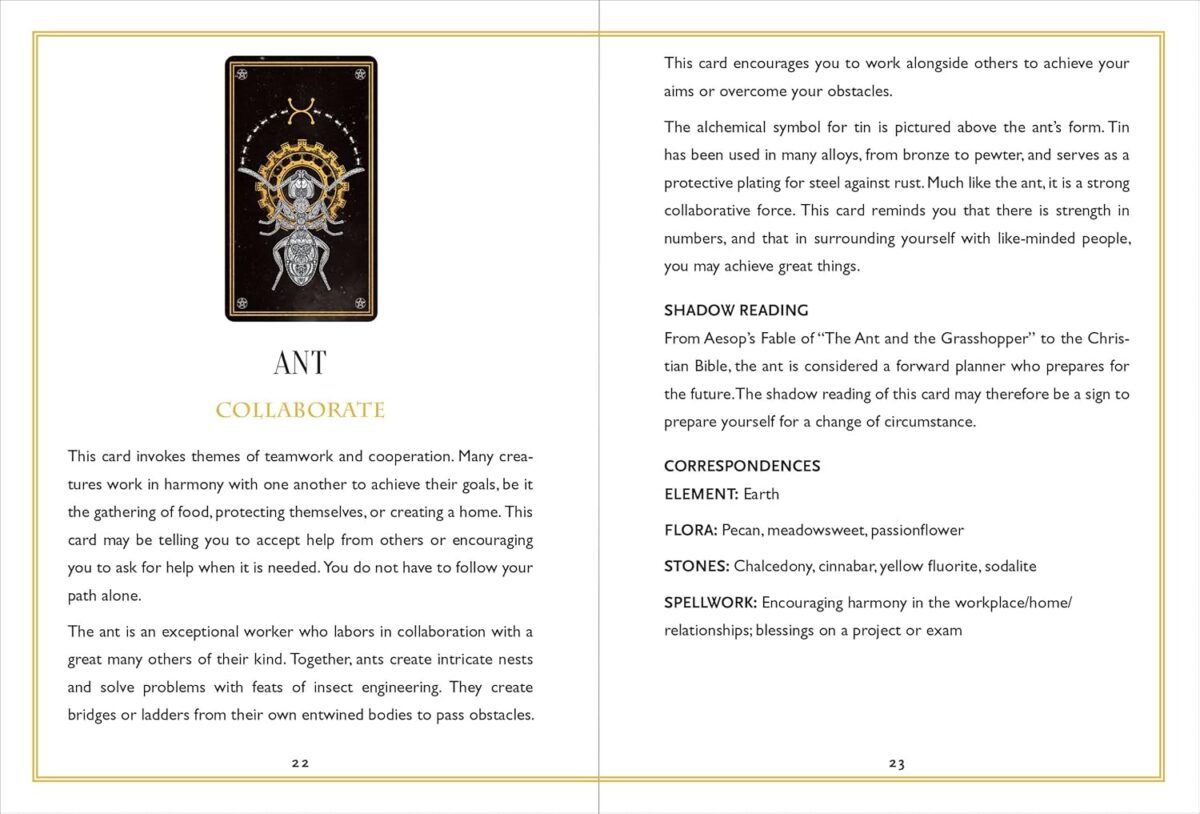 Wild Mystic Oracle Card Deck: A 50-Card Deck and Guidebook - Image 10