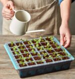 Burpee SuperSeed Seed Starting Tray | 36 Cell Reusable Seed Starter Tray | for Starting Vegetable, Flower & Herb Seeds | Indoor Grow Kit for Plant Seedlings | for Germination Success - Image 10