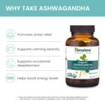 Himalaya Organic Ashwagandha, 60 Day Supply, Herbal Supplement for Stress Relief, Energy Support, Occasional Sleeplessness, Organic, Non-GMO, Vegan, Gluten Free, 670 mg, 60 Caplets - Image 5