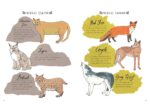 Nature Anatomy: The Curious Parts and Pieces of the Natural World - Image 6