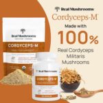 Real Mushrooms Cordyceps Capsules - Performance Mushroom Extract Supplement with Organic Militaris for Energy Immune Support Vegan Supplement, Non-GMO, 120 Caps - Image 2