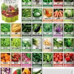 Gardeners Basics Survival Vegetable Seeds Garden Kit Over 16,000 Seeds Non-GMO and Heirloom, Great for Emergency Bugout Survival Gear 35 Varieties Seeds for Planting Vegetables 35 Free Plant Markers