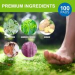 Natural Herbal Foot Pads - 100 Pack Ginger Oil & Bamboo Charcoal Premium Foot Care Patches - Relieves Stress and Fatigue - Improves Sleep and Supports Body Cleansing - Image 4