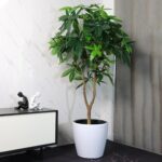 Dexceder 18x17 Self Watering Planter with Wheels Indoor Outdoor, Inner Pot Design, Thickened Large Floor Standing Flower Plant Pot with Water Level Indicator (White Matte) - Image 6