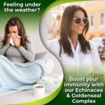 Echinacea Goldenseal Capsules - 10 in 1 Immune Support Supplement - 1455mg - Vegan Echinacea Capsules Supplement Made With Organic Whole Foods - Herbal Immune System Support - 2 Month Supply - Image 2