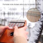 GECKO Kalimba 17 Keys Thumb Piano with Waterproof Protective Box, Tune Hammer and Study Instruction, Portable Mbira Sanza Finger Piano, Meditation Sound, Gift for Kids Adult Beginners Professional - Image 5