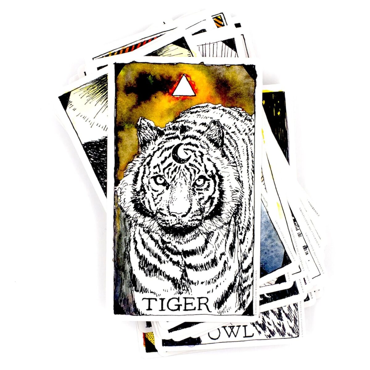 The Wild Unknown Animal Spirit Deck and Guidebook (Official Keepsake Box Set) - Image 5