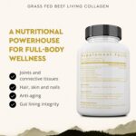 Ancestral Supplements Grass Fed Beef Living Collagen Nutritional Powder Supplement, 3000mg, Promotes Healthier, Younger Looking Skin, Hair, Nails and Joints, Type II, 180 Capsules - Image 3