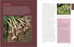 Rosemary Gladstar's Medicinal Herbs: A Beginner's Guide: 33 Healing Herbs to Know, Grow, and Use - Image 5