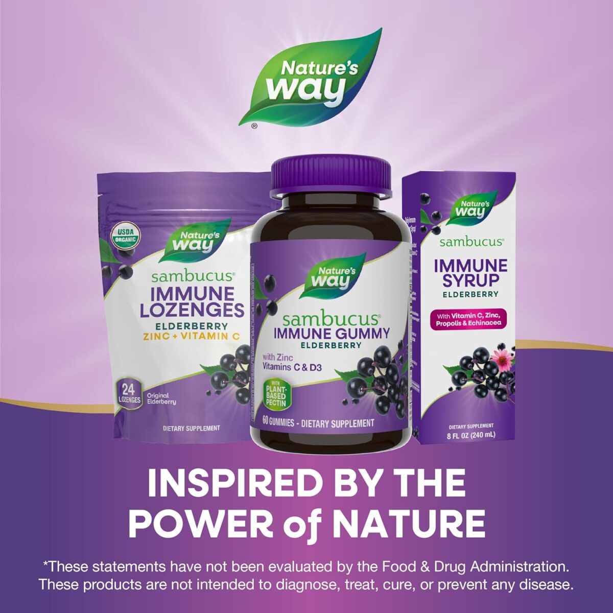 Nature’s Way Sambucus Elderberry Immune Gummies, Daily Immune Support for Kids and Adults*, with Vitamin C, Vitamin D3, Zinc, Gluten Free, Vegetarian, 60 Gummies (Packaging May Vary) - Image 7
