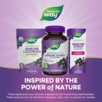 Nature’s Way Sambucus Elderberry Immune Gummies, Daily Immune Support for Kids and Adults*, with Vitamin C, Vitamin D3, Zinc, Gluten Free, Vegetarian, 60 Gummies (Packaging May Vary) - Image 7