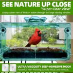 Window Bird Feeder with Non-Marking Self-Adhesive Hooks, Blue Window Bird House, Bird Watching Gift, Garden Decor - Image 2
