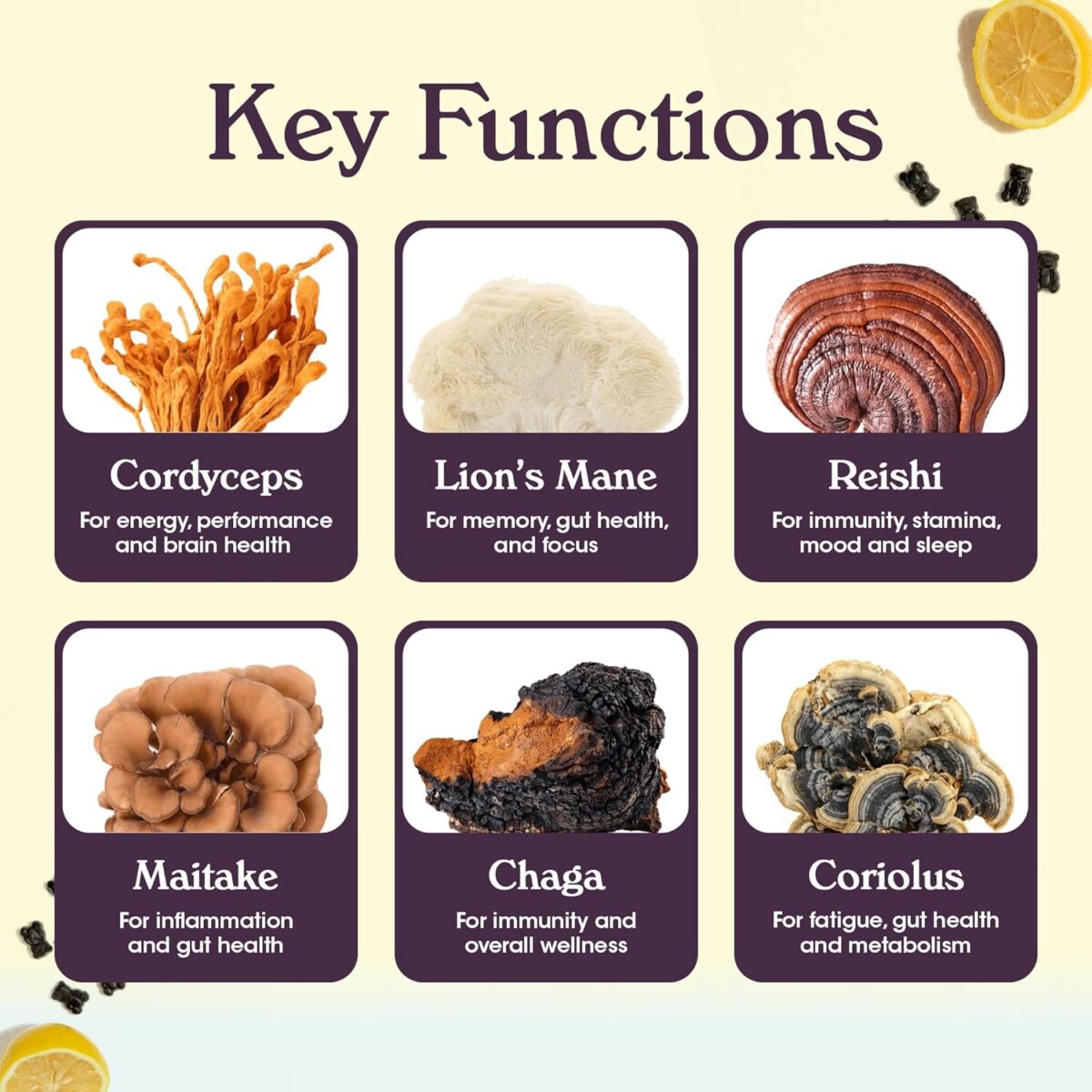 Nutrops Sugar-Free Lions Mane Mushroom Gummies for adults, Functional Nootropics, Herbal Brain Supplement for Energy, Brain Health, Cognitive, Memory & Focus, Reishi, Chaga, Cordyceps, Coriolus - 28 Day Supply - Image 6