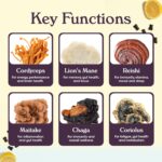 Nutrops Sugar-Free Lions Mane Mushroom Gummies for adults, Functional Nootropics, Herbal Brain Supplement for Energy, Brain Health, Cognitive, Memory & Focus, Reishi, Chaga, Cordyceps, Coriolus - 28 Day Supply - Image 6