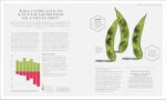 The Science of Nutrition: Debunk the Diet Myths and Learn How to Eat Responsibly for Health and Happiness (DK Science of) - Image 8