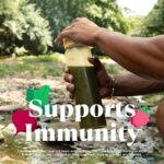 Amazing Grass Greens Superfood Powder: Greens Powder with Digestive Enzymes & Probiotics, Organic Spirulina, Chlorella, and Beet Root Powder, Original, 60 Servings - Image 6