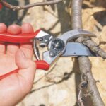 FELCO F-2 068780 Classic Manual Hand Pruner, F 2, Red - Image 6