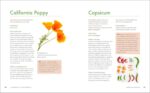 The Big Book of Herbal Medicine: 300 Natural Remedies for Health and Wellness - Image 3