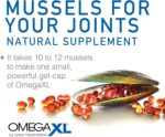 OmegaXL Joint Support Supplement, for Relief - Natural Muscle Support, Green Lipped Mussel Oil, Soft Gel Pills, Drug-Free, 60 Count - Image 5