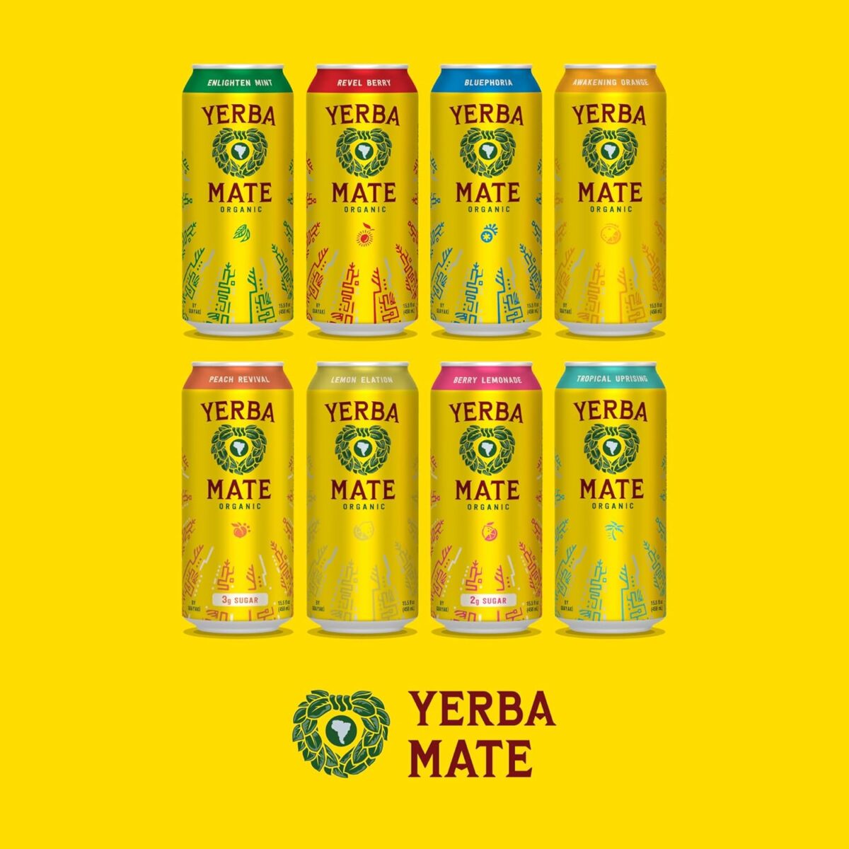 Guayakí Yerba Mate, Organic Energy Drink Alternative, Berry Lemonade, Low Sugar, 150mg Natural Caffeine, Better for You Energy & Focus, No Jitters or Crash, 15.5 Oz (Pack of 12) (Packaging May Vary) - Image 6