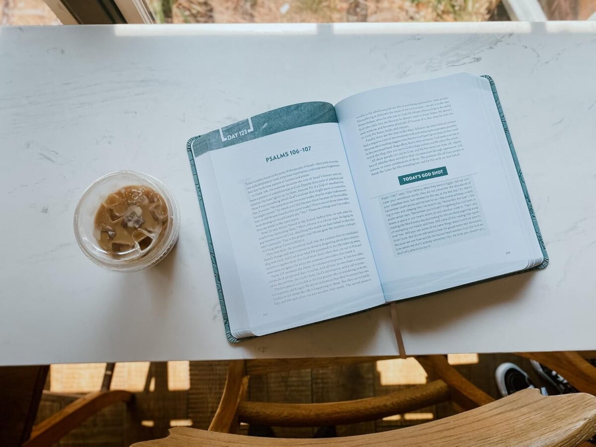 The Bible Recap: A One-Year Guide to Reading and Understanding the Entire Bible, Deluxe Edition - Sage Floral Imitation Leather - Image 7