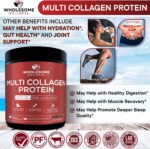 Wholesome Wellness Multi Collagen Protein Powder Hydrolyzed (Type I II III V X) Grass-Fed All-in-One Super Bone Broth + Peptides - Premium Blend of Beef, Chicken, Wild Fish, Eggshell, 58 Servings - Image 6