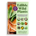Edible Wild Plants: A North American Field Guide to Over 200 Natural Foods - Image 4