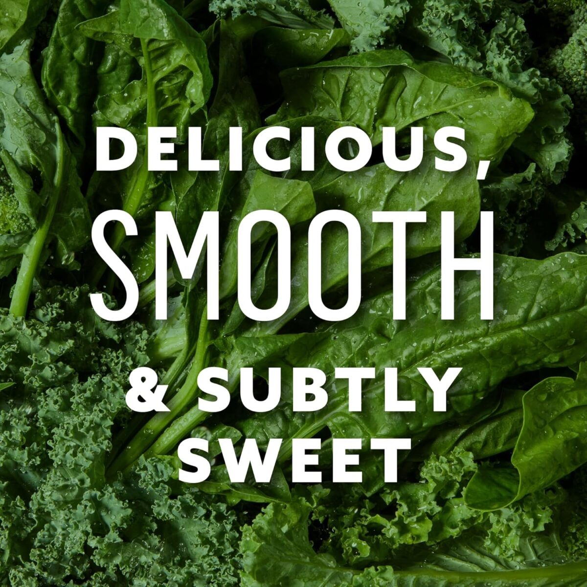 Suja Organic Greens Powder Probiotic Blend, Spirulina, Daily Superfood Drink or Smoothie Mix for Immune Support, Digestion, & Energy, Vegan, Gluten Free, Non GMO, 10 Servings - Image 3