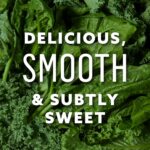 Suja Organic Greens Powder Probiotic Blend, Spirulina, Daily Superfood Drink or Smoothie Mix for Immune Support, Digestion, & Energy, Vegan, Gluten Free, Non GMO, 10 Servings - Image 3